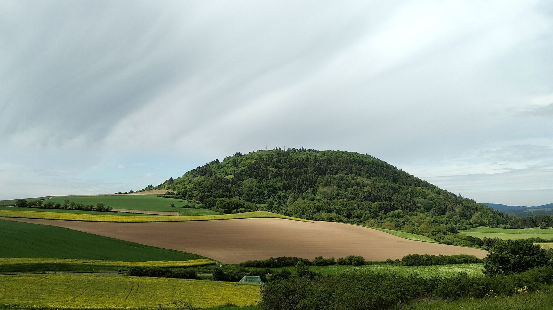 Ein bewachsener Hügel und Felder vor bedecktem Himmel