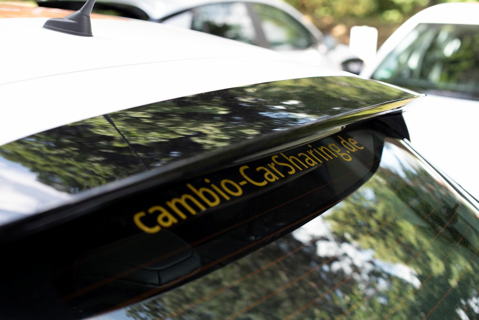 Internetadresse von cambio CarSharing auf der Heckscheibe eines Fahrzeugs