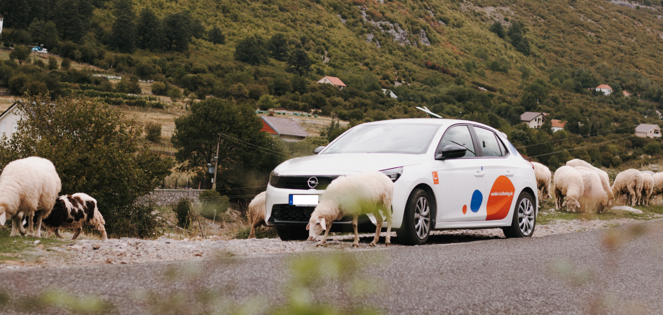 Ein cambio-Auto inmitten einer Schafherde